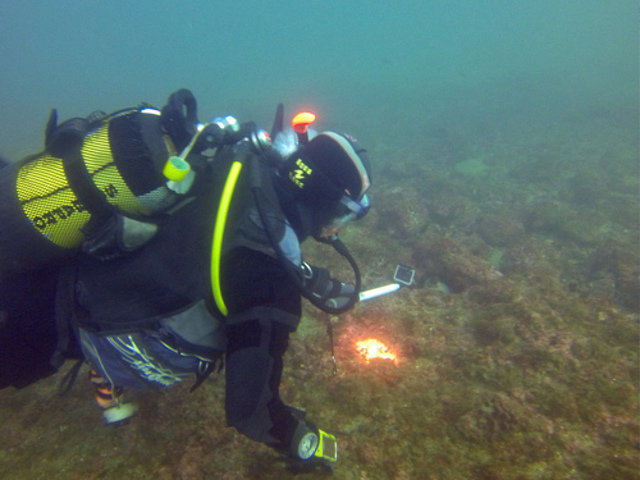 Diving Life - Dive Center in Spain