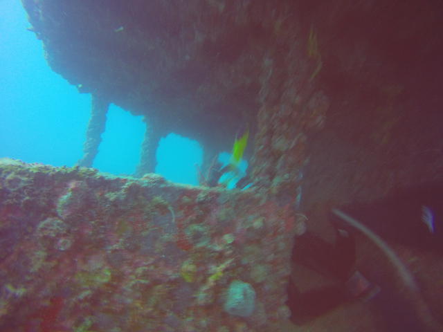 Halls Diving Center - Dive Center in United States