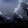 Picture taken during the dive