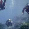 Picture taken during the dive