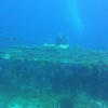 Picture taken during the dive