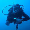 Picture taken during the dive