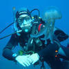 Picture taken during the dive