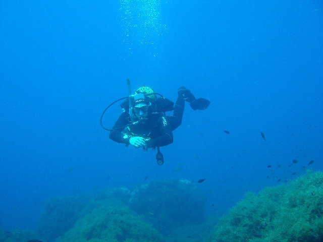 Phoenix Dive Center - Dive Center in Espagne