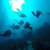 Picture taken during the dive