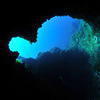 Picture taken during the dive