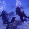Picture taken during the dive