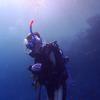 Picture taken during the dive
