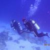 Picture taken during the dive