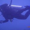 Picture taken during the dive