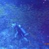 Picture taken during the dive