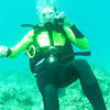 Picture taken during the dive
