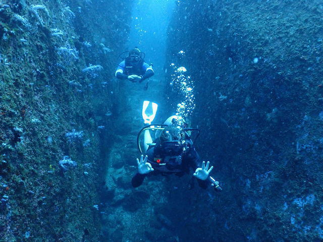 Thailand Divers-Phuket. - Dive Center in Thailand