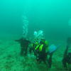 Picture taken during the dive