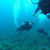 Picture taken during the dive