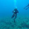 Picture taken during the dive