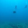 Picture taken during the dive