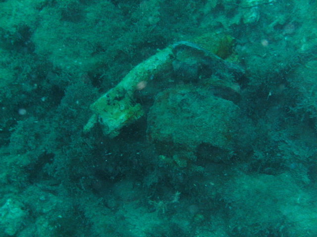 JerbaSub - Dive Center in Tunisia