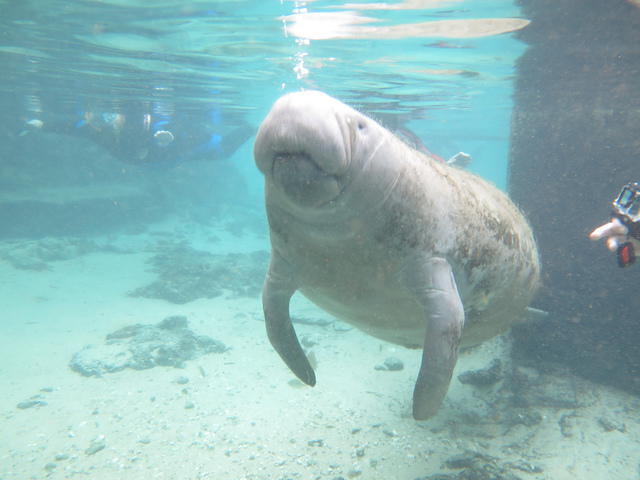Bird's Underwater - Dive Center in United States