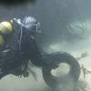 Picture taken during the dive