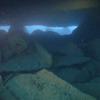 Picture taken during the dive