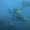 Picture taken during the dive