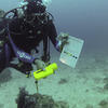 Picture taken during the dive