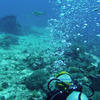 Picture taken during the dive
