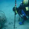 Picture taken during the dive