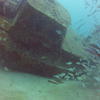 Picture taken during the dive