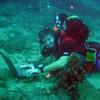 Picture taken during the dive