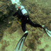 Picture taken during the dive