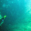 Picture taken during the dive