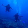 Picture taken during the dive