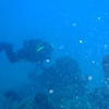Picture taken during the dive