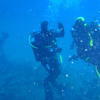 Picture taken during the dive