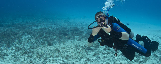 Reef Quest Divers - Dive Center in Mexico