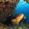 Picture taken during the dive