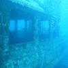 Picture taken during the dive