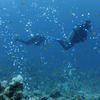Picture taken during the dive