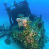 Picture taken during the dive