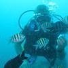 Picture taken during the dive