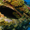 Picture taken during the dive