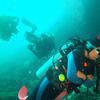Picture taken during the dive
