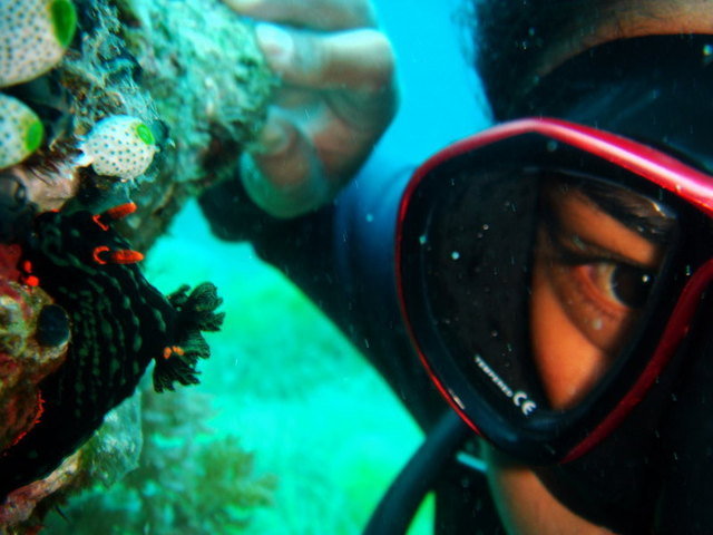 Reef Dive - Dive Center in Philippines