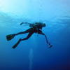 Picture taken during the dive