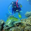 Picture taken during the dive