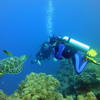 Picture taken during the dive