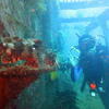 Picture taken during the dive