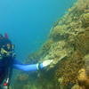 Picture taken during the dive